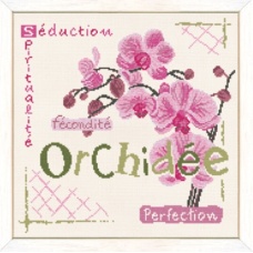 Orchidée