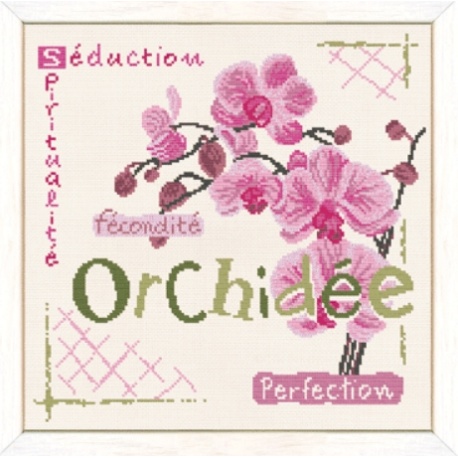 Orchidée